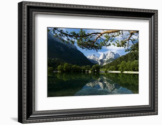 Mount Prisojnik (2,547M) and Mount Razor (2,601M) with Reflection in Pond, Triglav Np, Slovenia-Zupanc-Framed Photographic Print