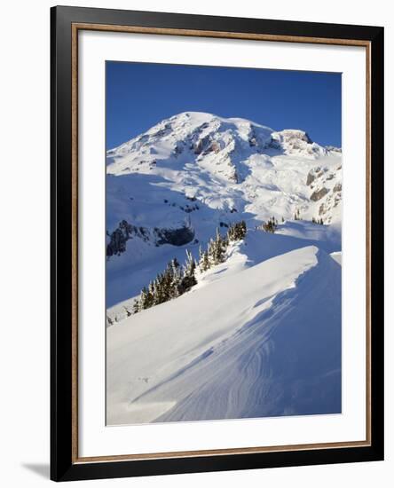 Mount Rainier after Winter Snowstorm, Mount Rainier National Park, Washington, Usa-Jamie & Judy Wild-Framed Photographic Print