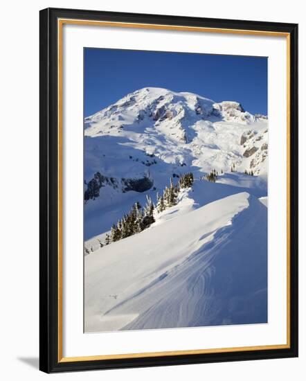 Mount Rainier after Winter Snowstorm, Mount Rainier National Park, Washington, Usa-Jamie & Judy Wild-Framed Photographic Print
