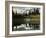 Mount Rainier and One of the Reflection Lakes, 1917-Ashael Curtis-Framed Giclee Print