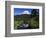 Mount Rainier and Reflection Lake-Terry Eggers-Framed Photographic Print