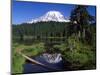 Mount Rainier and Reflection Lake-Terry Eggers-Mounted Photographic Print