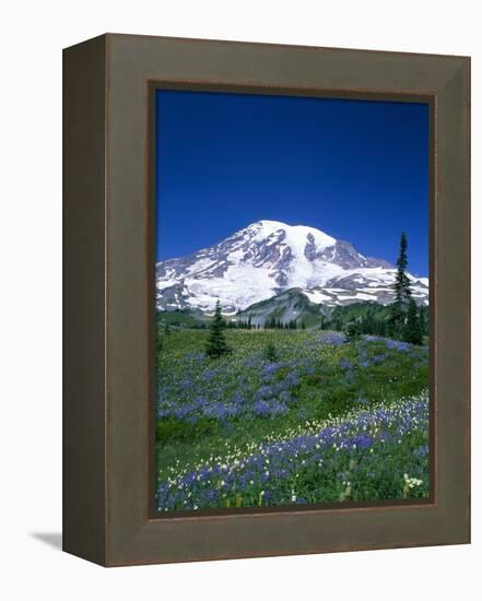 Mount Rainier and Wildflower Meadow-Terry Eggers-Framed Premier Image Canvas