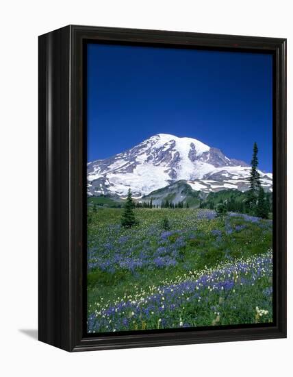 Mount Rainier and Wildflower Meadow-Terry Eggers-Framed Premier Image Canvas