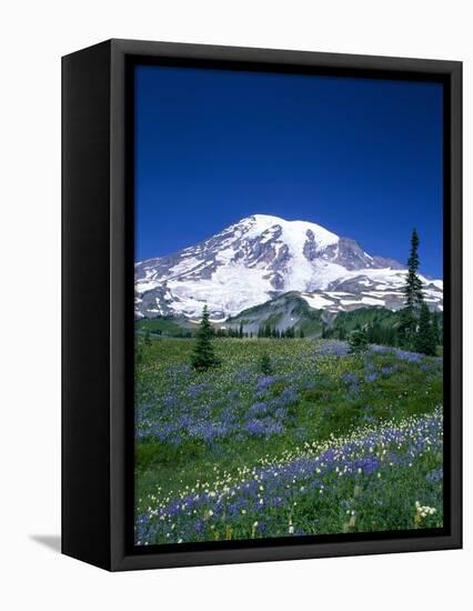 Mount Rainier and Wildflower Meadow-Terry Eggers-Framed Premier Image Canvas