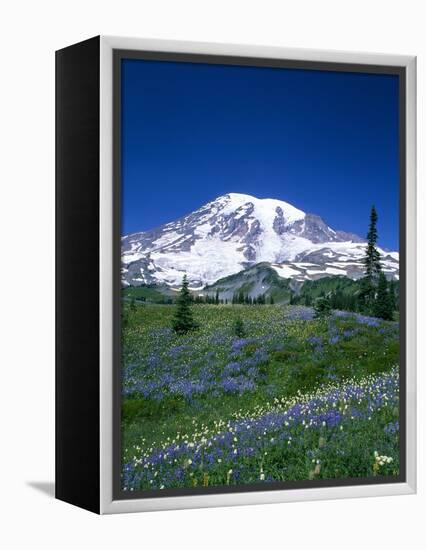 Mount Rainier and Wildflower Meadow-Terry Eggers-Framed Premier Image Canvas
