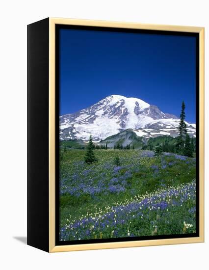 Mount Rainier and Wildflower Meadow-Terry Eggers-Framed Premier Image Canvas