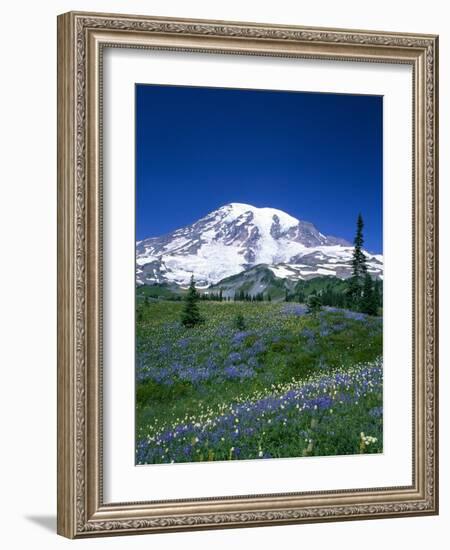 Mount Rainier and Wildflower Meadow-Terry Eggers-Framed Photographic Print