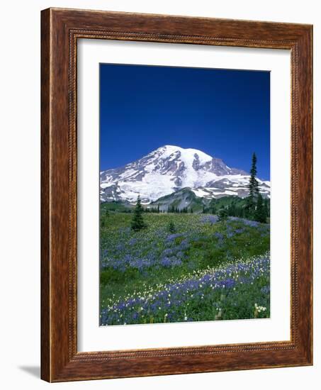 Mount Rainier and Wildflower Meadow-Terry Eggers-Framed Photographic Print