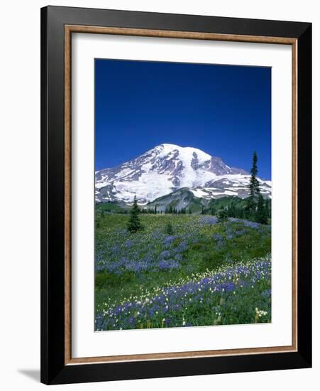 Mount Rainier and Wildflower Meadow-Terry Eggers-Framed Photographic Print