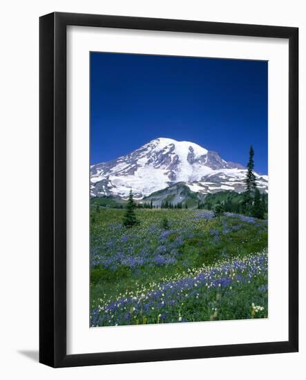 Mount Rainier and Wildflower Meadow-Terry Eggers-Framed Photographic Print