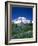 Mount Rainier and Wildflower Meadow-Terry Eggers-Framed Photographic Print