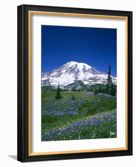 Mount Rainier and Wildflower Meadow-Terry Eggers-Framed Photographic Print