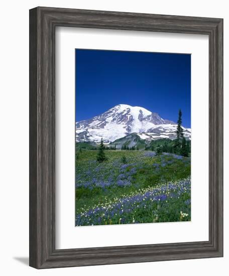 Mount Rainier and Wildflower Meadow-Terry Eggers-Framed Photographic Print