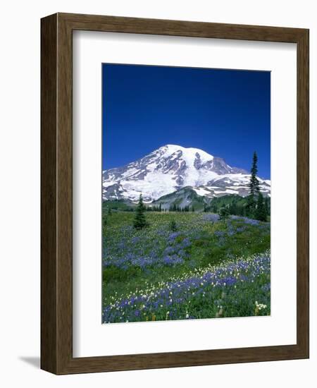 Mount Rainier and Wildflower Meadow-Terry Eggers-Framed Photographic Print