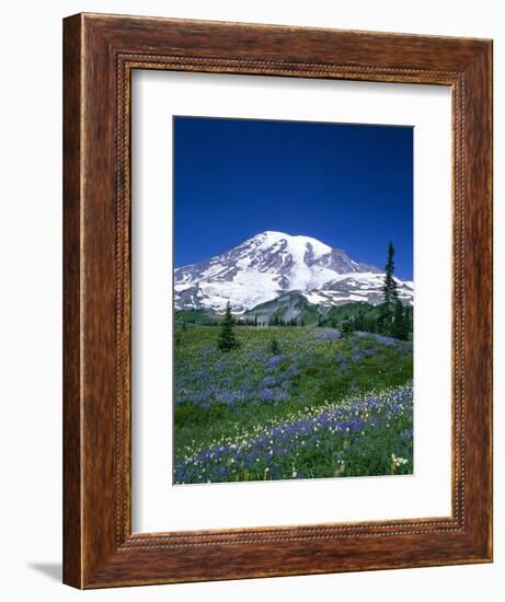 Mount Rainier and Wildflower Meadow-Terry Eggers-Framed Photographic Print