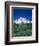 Mount Rainier and Wildflower Meadow-Terry Eggers-Framed Photographic Print