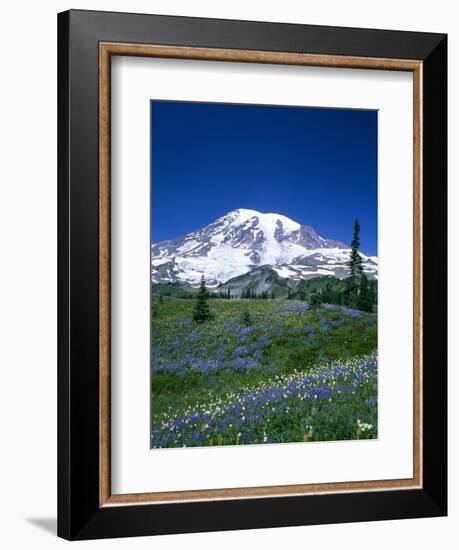 Mount Rainier and Wildflower Meadow-Terry Eggers-Framed Photographic Print