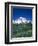 Mount Rainier and Wildflower Meadow-Terry Eggers-Framed Photographic Print