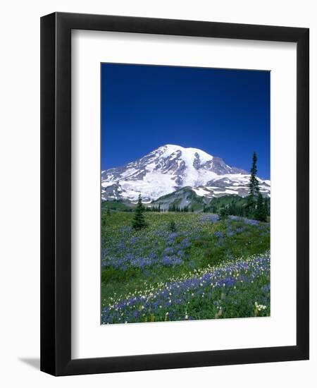 Mount Rainier and Wildflower Meadow-Terry Eggers-Framed Photographic Print