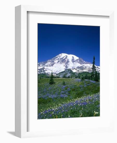 Mount Rainier and Wildflower Meadow-Terry Eggers-Framed Photographic Print