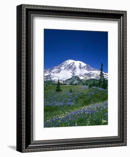 Mount Rainier and Wildflower Meadow-Terry Eggers-Framed Photographic Print