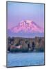 Mount Rainier at sunrise, Washington State, USA-Jim Engelbrecht-Mounted Photographic Print