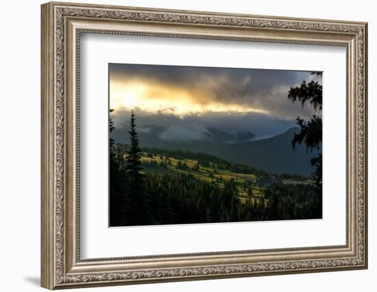 Mount Rainier meadows at sunrise, Cascade Ranges, Washington State, United States of America, North-Tyler Lillico-Framed Photographic Print