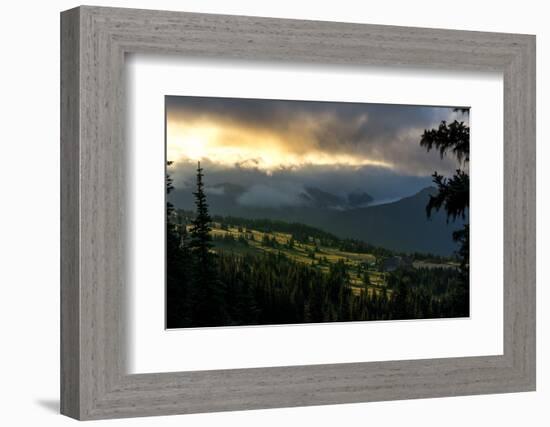 Mount Rainier meadows at sunrise, Cascade Ranges, Washington State, United States of America, North-Tyler Lillico-Framed Photographic Print