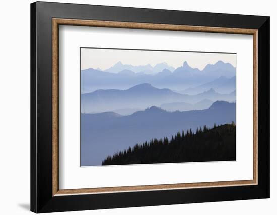 Mount Rainier National Park, Cascade Mountains-Ken Archer-Framed Photographic Print