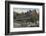 'Mount Rainier National Park Inn', c1916-Asahel Curtis-Framed Photographic Print