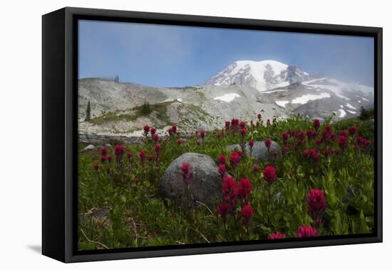 Mount Rainier National Park, Mount Rainier-Ken Archer-Framed Premier Image Canvas