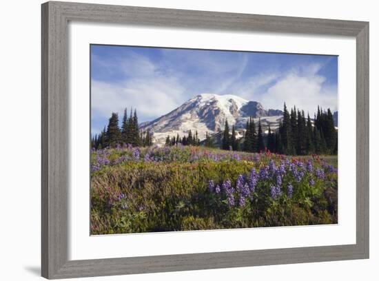 Mount Rainier National Park, Mount Rainier-Ken Archer-Framed Photographic Print