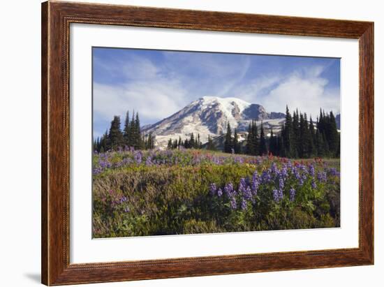 Mount Rainier National Park, Mount Rainier-Ken Archer-Framed Photographic Print