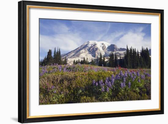 Mount Rainier National Park, Mount Rainier-Ken Archer-Framed Photographic Print