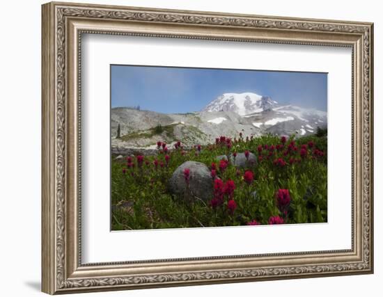 Mount Rainier National Park, Mount Rainier-Ken Archer-Framed Photographic Print