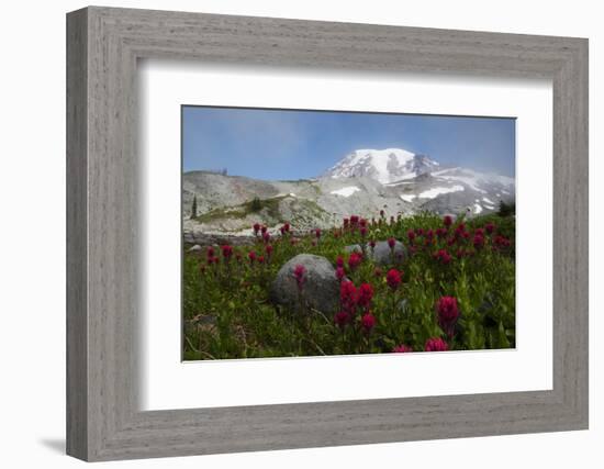 Mount Rainier National Park, Mount Rainier-Ken Archer-Framed Photographic Print