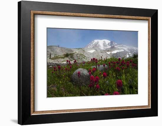 Mount Rainier National Park, Mount Rainier-Ken Archer-Framed Photographic Print