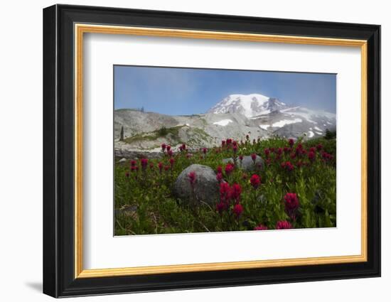 Mount Rainier National Park, Mount Rainier-Ken Archer-Framed Photographic Print