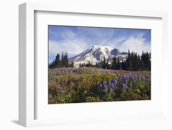 Mount Rainier National Park, Mount Rainier-Ken Archer-Framed Photographic Print