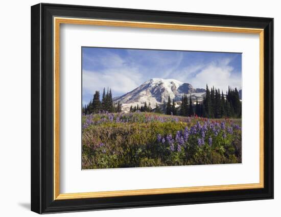 Mount Rainier National Park, Mount Rainier-Ken Archer-Framed Photographic Print