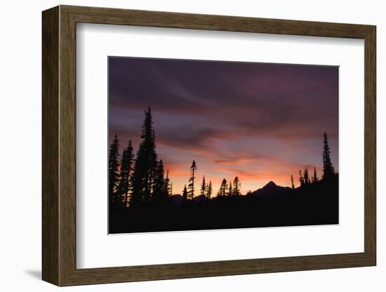 Mount Rainier National Park, Sunset-Ken Archer-Framed Photographic Print