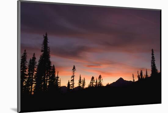 Mount Rainier National Park, Sunset-Ken Archer-Mounted Photographic Print