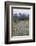 Mount Rainier National Park, Tatoosh Mountains-Ken Archer-Framed Photographic Print