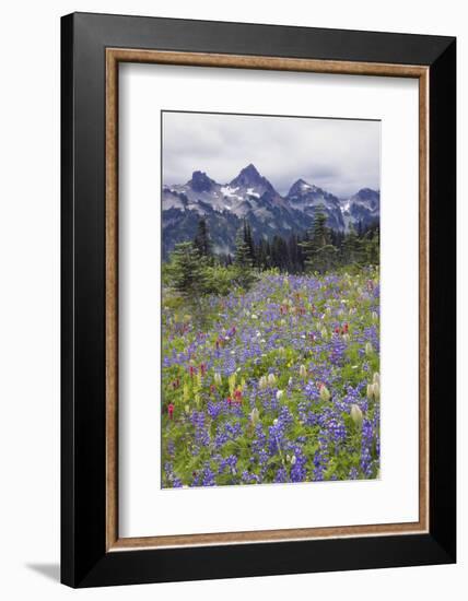 Mount Rainier National Park, Tatoosh Mountains-Ken Archer-Framed Photographic Print