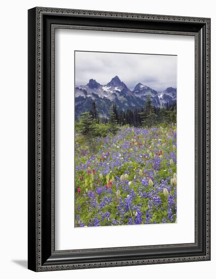 Mount Rainier National Park, Tatoosh Mountains-Ken Archer-Framed Photographic Print