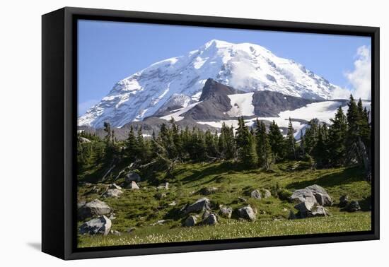 Mount Rainier National Park, Wa. Spray Park-Matt Freedman-Framed Premier Image Canvas