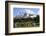 Mount Rainier National Park, Wa. Spray Park-Matt Freedman-Framed Photographic Print