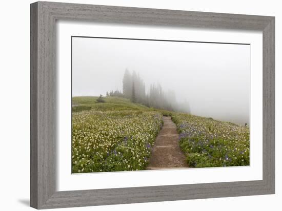 Mount Rainier National Park, Washington: Skyline Trail-Ian Shive-Framed Photographic Print