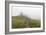 Mount Rainier National Park, Washington: Skyline Trail-Ian Shive-Framed Photographic Print